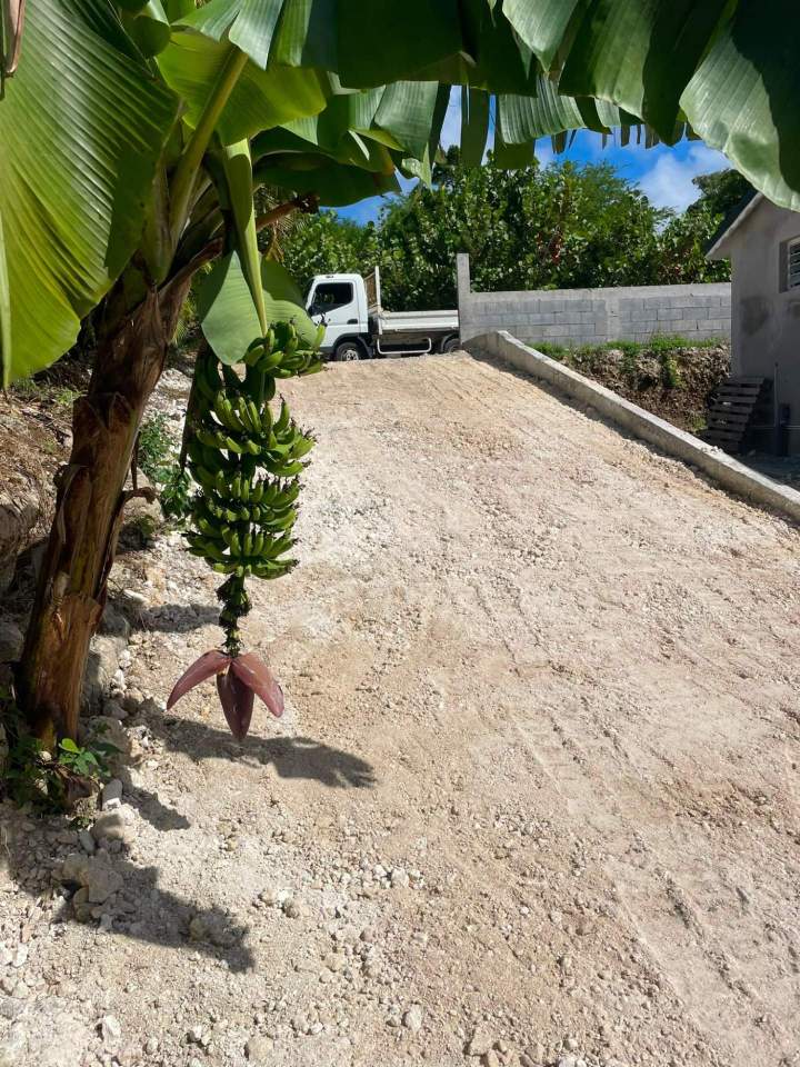 Jardin tropical Sainte-Anne